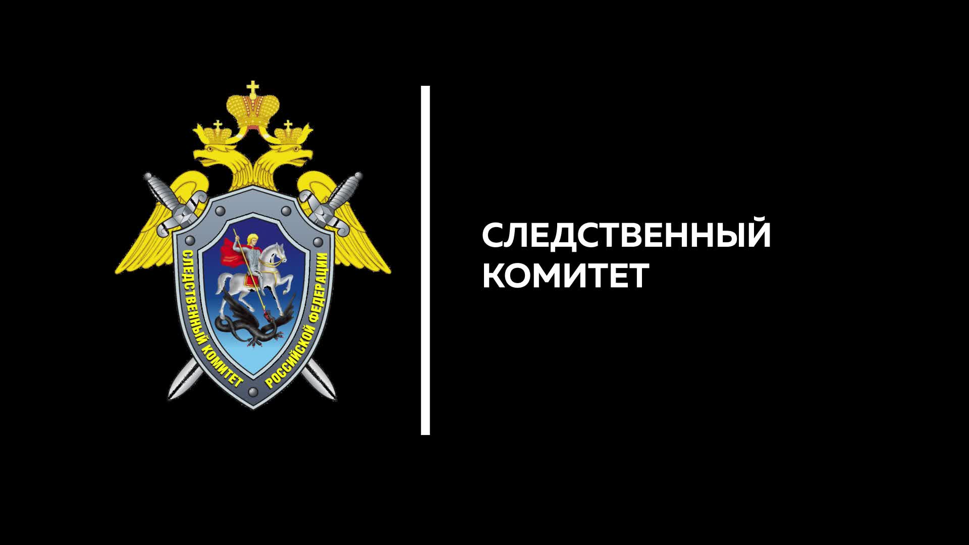 СК РФ логотип